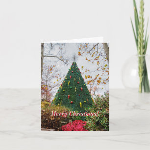 5 Story SDC Tree Christmas Card
