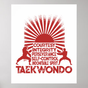 5 Tenets Of Taekwondo Poster