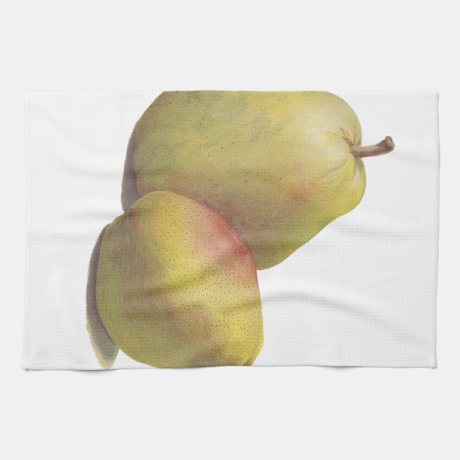 5 vintage pears illustrated tea towel (Horizontal)