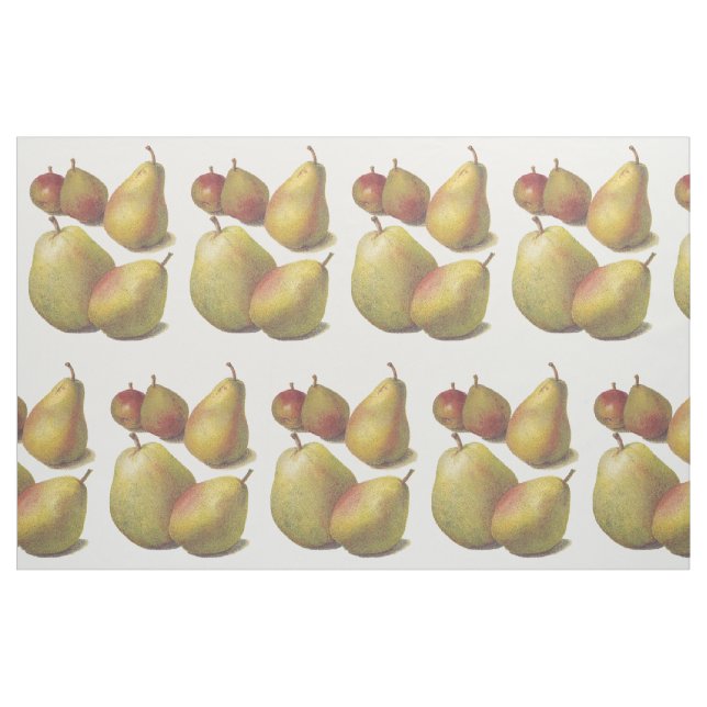 5 vintage pears illustrated textile fabric (Yard)