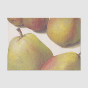 5 vintage pears illustrated tissue paper