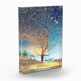 5"x7" Acrylic Photoblock Cherry Tree Puddle