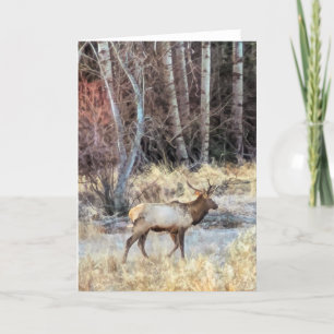 5"x7" Folded Card Bull Elk