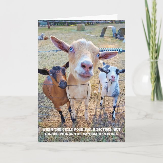 5"x7" Folded Card || Food Focus (Front)