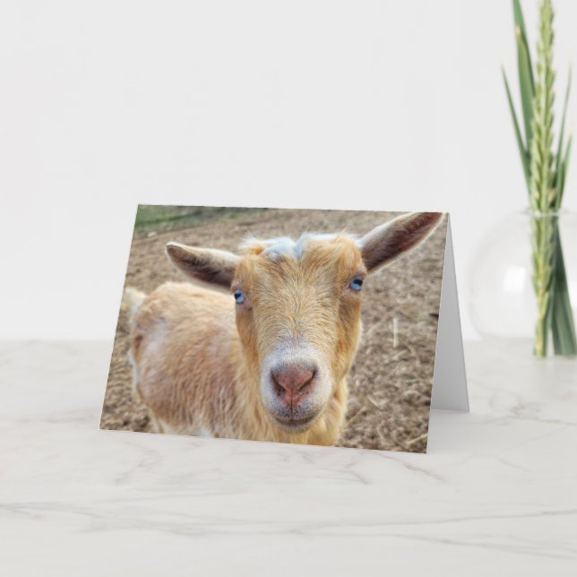 5"x7" Folded Card-h || Ginger Thank You Card (Front)
