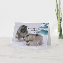 5 x 7 2018 Holiday Keeshond Christmas card