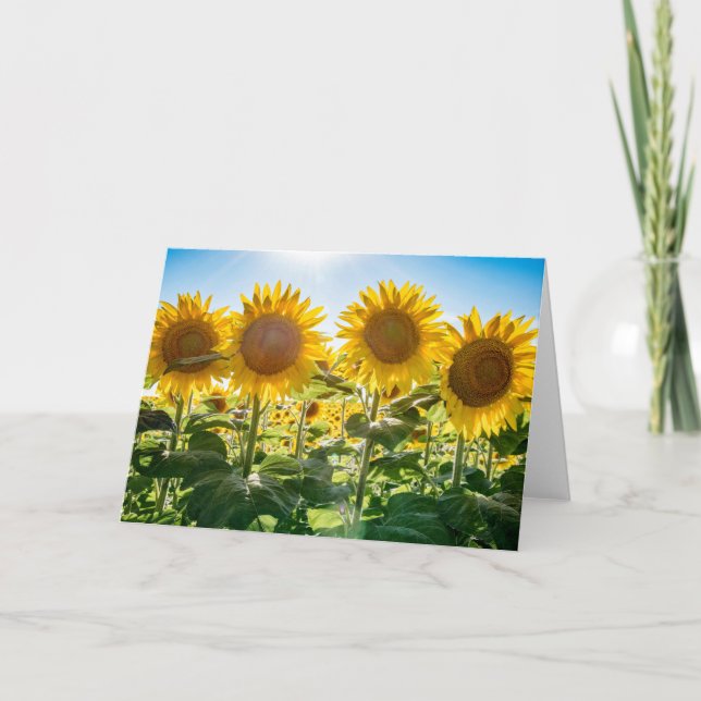 5 x 7 Blank Note Card Set (Front)