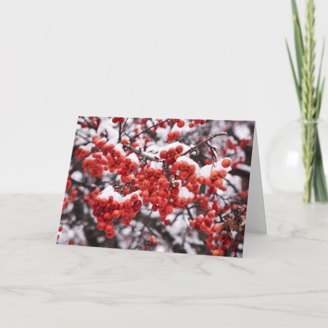 5 x 7 Blank Note Card Set (Front)