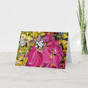 5 x 7 Blank Note Card Set