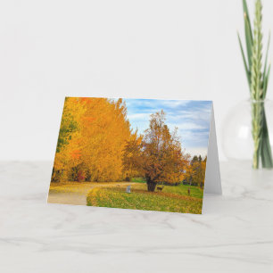 5 x 7 Blank Note Card Set