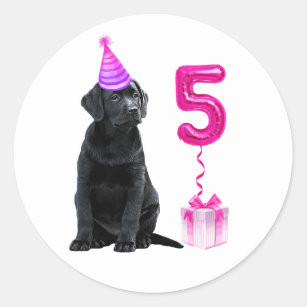 5th Birthday Puppy Theme- Cute Dog Pink Girl Pawty Classic Round Sticker