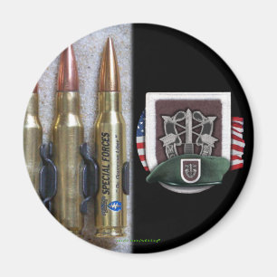 5th special forces group flash crest iraq magnet