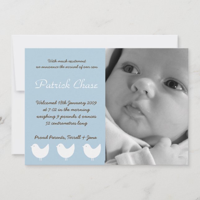 5x7 Baby Boy Blue 3 Birds Photo Birth Announcement (Front)