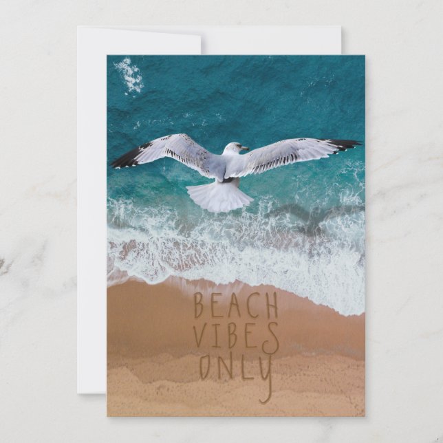 5x7 Beach Vibes Only Seagull Seashore Beach Art (Front)