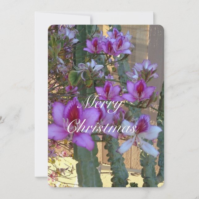 5X7 Christmas Photo Card (Front)