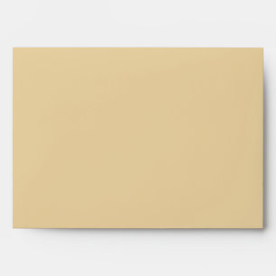 5x7  Envelope Option 1 Seashells on Sandy Beach st