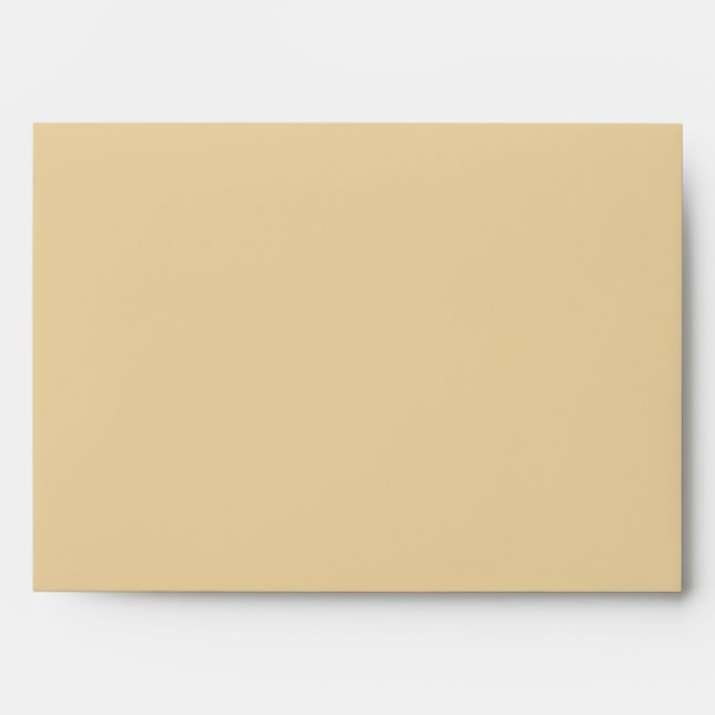 5x7  Envelope Option 1 Seashells on Sandy Beach st (Front)