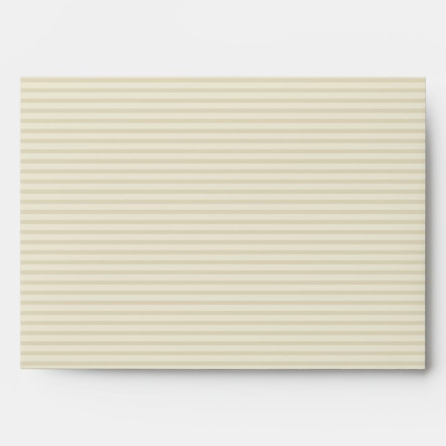 5x7  Envelope Option 2 Birdcage/Grey Stripes cage (Front)