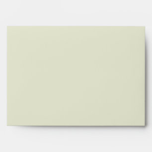 5x7  Envelope Option 2 Green Gerbera Daisy Flowers