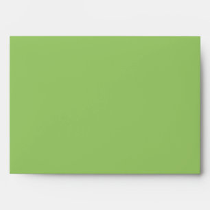 5x7 Green Outside Polka Dot Inside Envelope