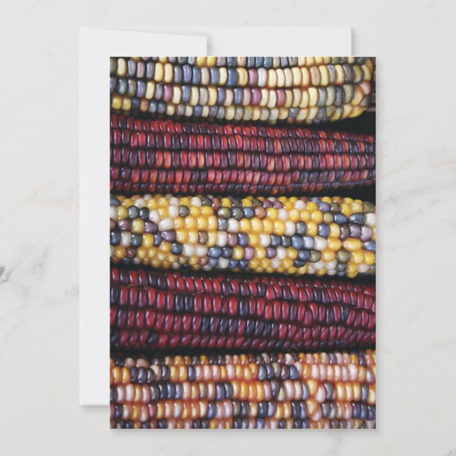 5x7 Thanksgiving Card (Front)