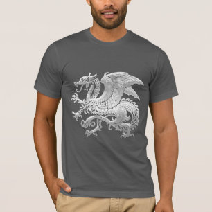 [600] Icelandic Dragon, Landvættir [Silver] T-Shirt