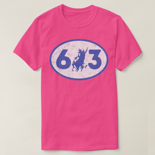 603 Area Code Lake Winnipesaukee Vintage  T-Shirt (Design Front)