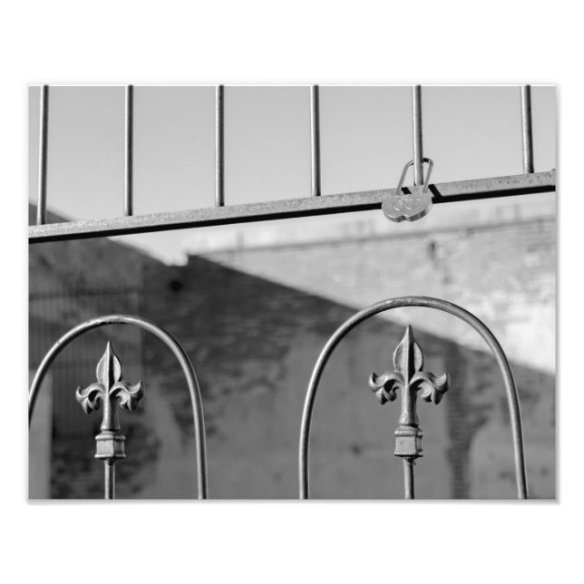 6067-Lock on Fence Photo Print (Front)