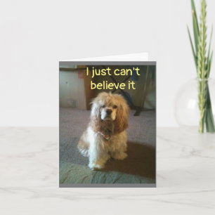 ***60*** I DON'T BELIEVE IT  CARD