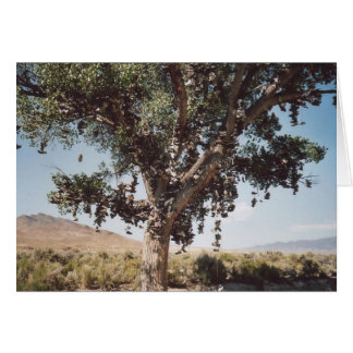 60. Shoe Tree, Nevada