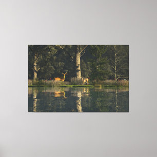 60"x40" Canvas Art w' "Startled" image