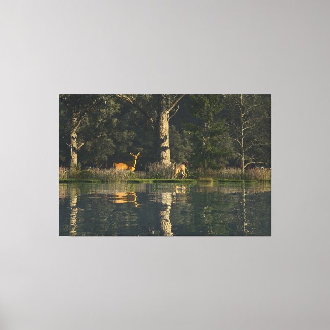 60"x40" Canvas Art w' "Startled" image (Front)