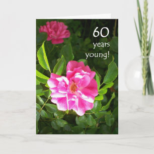 60th Birthday Card - Pink Roses