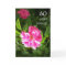 60th Birthday Card - Pink Roses