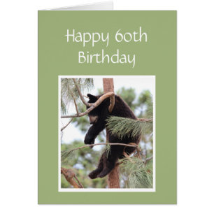 60th Birthday Fun Old Age Tired Bear