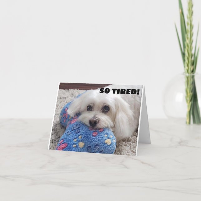 *60th BIRTHDAY* HA HA HA (FUNNY DOG HUMOR) Card (Front)