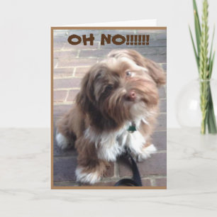 **60th BIRTHDAY** OH NO SAYS PUPPY Card