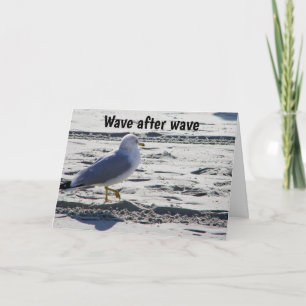 **60th BIRTHDAY** SEAGULL HUMOR Card