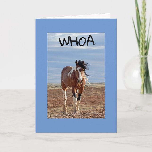 **60th & YOU ARE FABULOUS AS USUAL Card (Front)