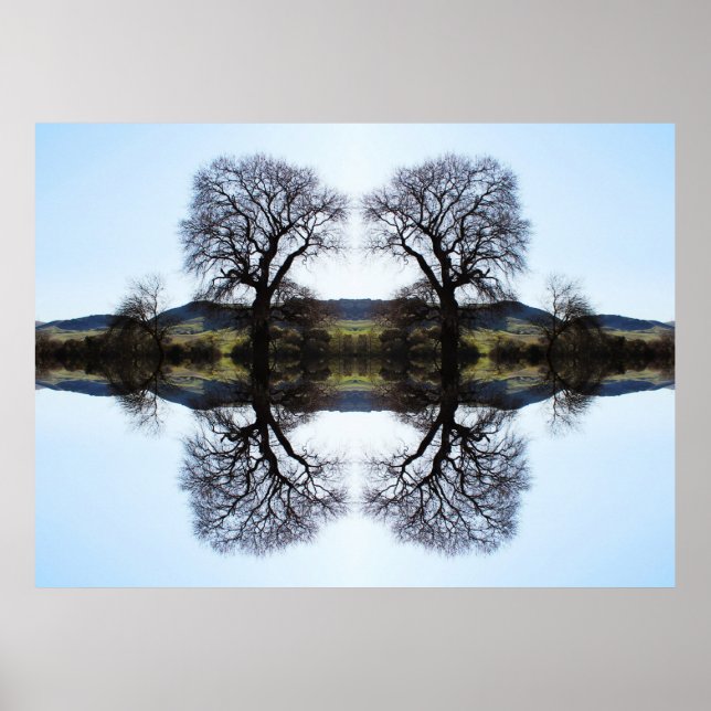 62914 Fractal Trees Poster (Front)