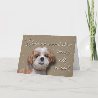 62nd Birthday Dog Card