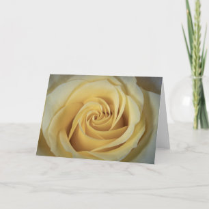6363-Yellow Rose Card