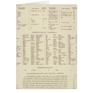 6364 Legend Sweden, Norway