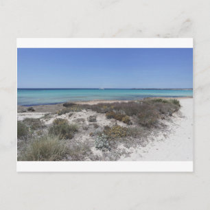 64-SOL16-168-3266 POSTCARD