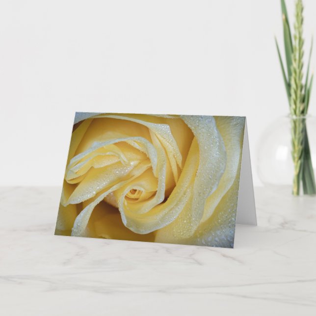 6557-Yellow Rose with Dew Card (Front)