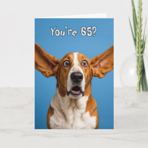 65th Birthday Basset Hound Dog Humor Card