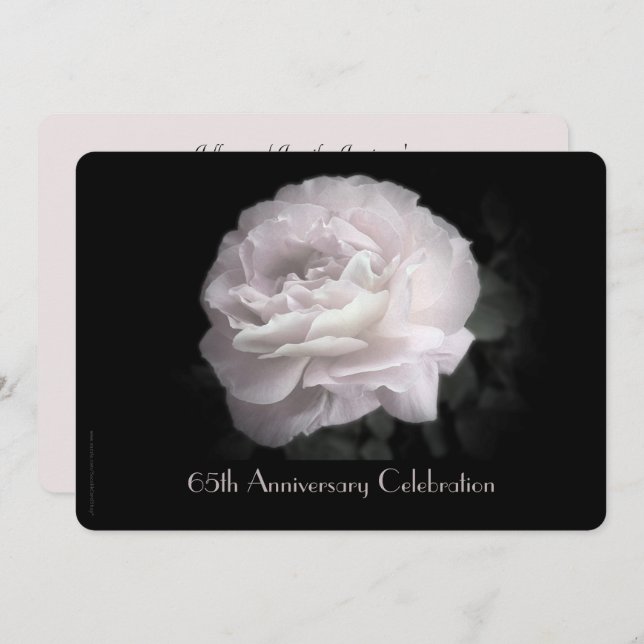 65th Wedding Anniversary Party Pale Pink Rose Invitation (Front/Back)