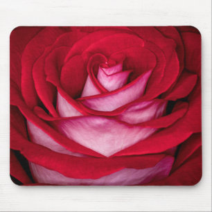 6621-Red, White and Pink Rose Mouse Pad