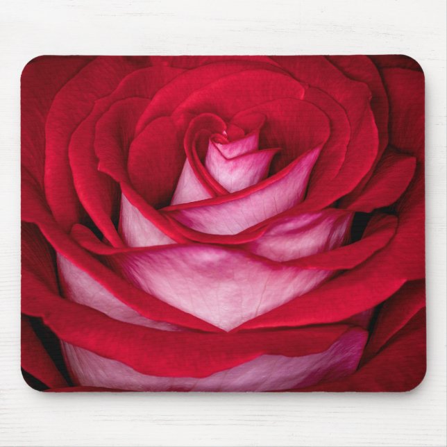 6621-Red, White and Pink Rose Mouse Pad (Front)
