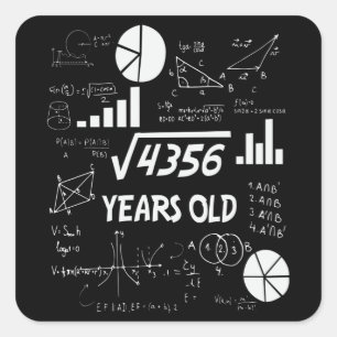 66 Year Old Bday Math Teacher 66th Birthday Gift Square Sticker